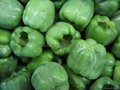 IQF Green Pepper Strips,Frozen Green Peppers Strips,IQF Sliced Green Peppers 9