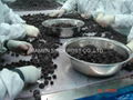 IQF Blackberries,Frozen Blackberries,IQF blackberry,Frozen Blackberry 2
