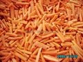 IQF Carrots, Frozen Carrots ,strips