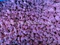 New crop IQF purple sweet potato slices/diced