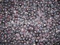 Frozen blackcurrants,IQF blackcurrants,cultivated,unblanched 3