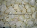 Frozen Onions Dices,IQF Onion Dices,Frozen Diced Onions,IQF Diced Onions 6