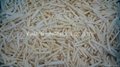IQF bamboo shoots slices ,Frozen bamboo shoot slices ,IQF sliced bamboo shoots 10