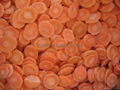 IQF Carrots, Frozen Carrots ,strips/diced/cuts/crinkle slices 5