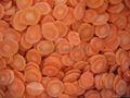 IQF Carrots, Frozen Carrots ,strips/diced/cuts/crinkle slices