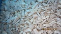 IQF Pleurotus Cubes,Frozen Pleurotus Strips,IQF Oyster Mushroom Slices