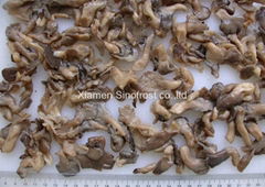 Brine Pleurotus baby  wholes,Brine oyster baby wholes