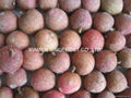 2013 new crop IQF lychees