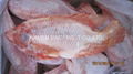 Frozen Tilapia Fillets,Frozen Whole Tilapia 