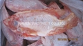 Frozen Tilapia Fillets,Frozen Whole Tilapia 