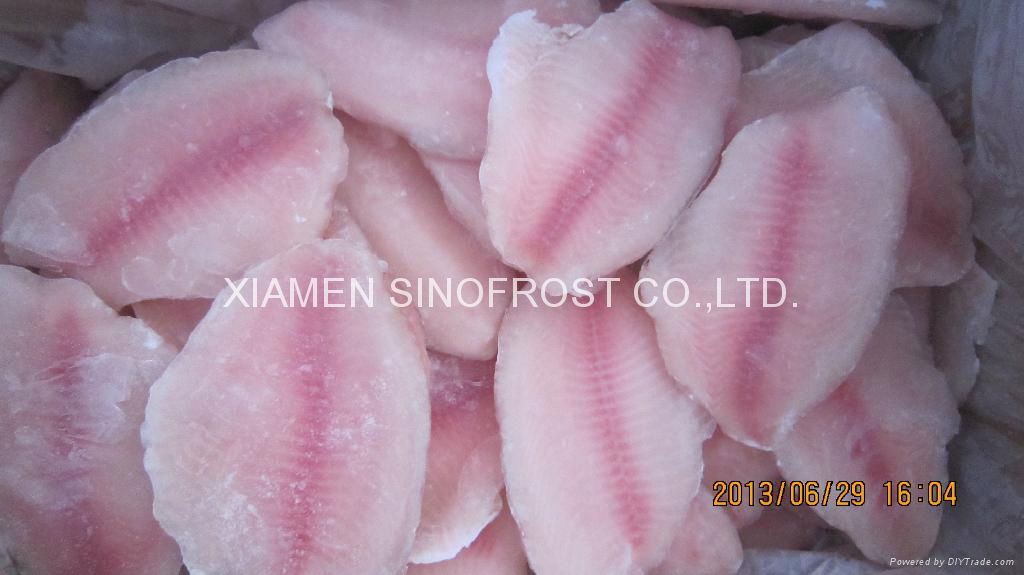 Frozen Tilapia Fillets,Frozen Whole Tilapia  2