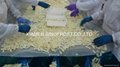 2023 New crop IQF bamboo shoots slices/strips/cuts/dices