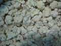 IQF Cauliflower Florets,Frozen Cauliflower Florets,IQF Cauliflower N   ets 6