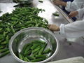 IQF Whole Okra,Frozen Whole Okra,IQF Okra wholes,Frozen Okra Wholes