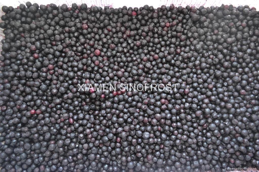 IQF blueberry,IQF Blueberries,Frozen Blueberries,cultivated 5