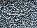 IQF wild blueberries,IQF cultivated blackberries