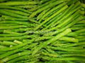  new crop IQF green asparagus,wholes/tips& cuts/cuts