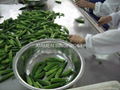 New crop IQF okra,IQF sliced okra