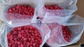 new crop IQF red raspberries,cultivated,wholes/brokens/crumbles/puree