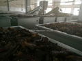 IQF Black Fungus Strips,Frozen Black Fungus Strips