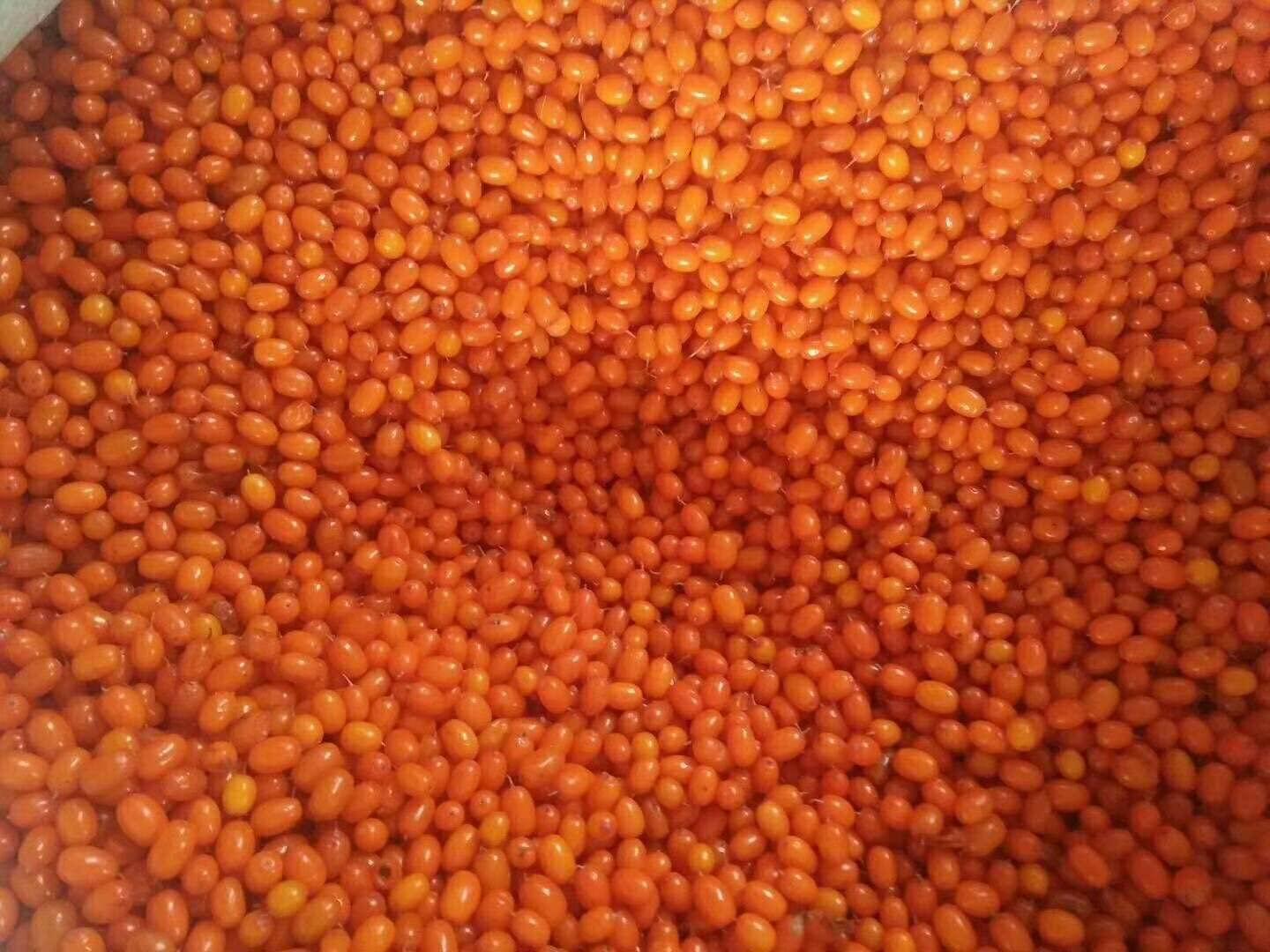 冷冻沙棘果，速冻沙棘果 5