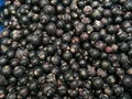 Frozen blackcurrants,IQF blackcurrants,cultivated,unblanched 2