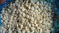 2022 New crop IQF garlic cloves,diced garlic,sliced garlic,frozen garlic puree