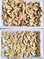 Preserved Mushrooms in Brine,Brine Mushrooms,Salted Mushrooms,sliced/wholes 9