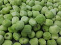 IQF Diced Kiwi,Frozen Diced Kiwi,IQF Kiwi Dices,Frozen Kiwi Dices 3