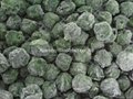 Frozen Chopped Spinach Tablets, IQF Chopped Spinach Tablets, IQF Chopped Spinach 8