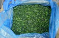 Frozen Spinach Leaf Ball,IQF Whole Leaf Spinach Ball,IQF Spinach in Briquette 8