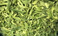 IQF Green Pepper Strips,Frozen Green Peppers Strips,IQF Sliced Green Peppers