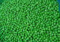 IQF Green Peas,Frozen Green Peas,IQF Frozen Green Peas 8