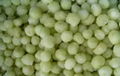 IQF Grapes Wholes,Frozen Grapes Pulp