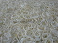 IQF Onions Rings,Frozen Onion Rings,IQF