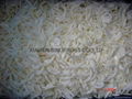 IQF Onions Rings,Frozen Onion Rings,IQF Onion Slices,IQF Sliced Onions 4