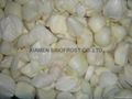 IQF Onions Rings,Frozen Onion Rings,IQF Onion Slices,IQF Sliced Onions