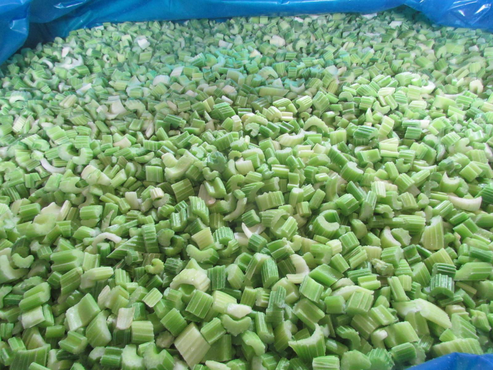 IQF Diced Celery,Frozen Diced Celery,IQF Celery Dices,Frozen Celery Dices 4