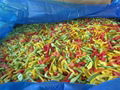 IQF Sweet Pepper Mix,IQF Mixed Bell Pepper,IQF Sweet Pepper (green/yellow/red) 7