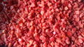 IQF Red Peppers Dices,Frozen Red Pepper Dices,IQF Red Pepper Cubes
