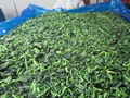 Frozen Spinach Leaf Ball,IQF Whole Leaf Spinach Ball,IQF Spinach in Briquette