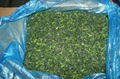 IQF Chopped Spinach,IQF Spinach Cut,BQF Cut Spinach,Frozen Chopped Spinach 15