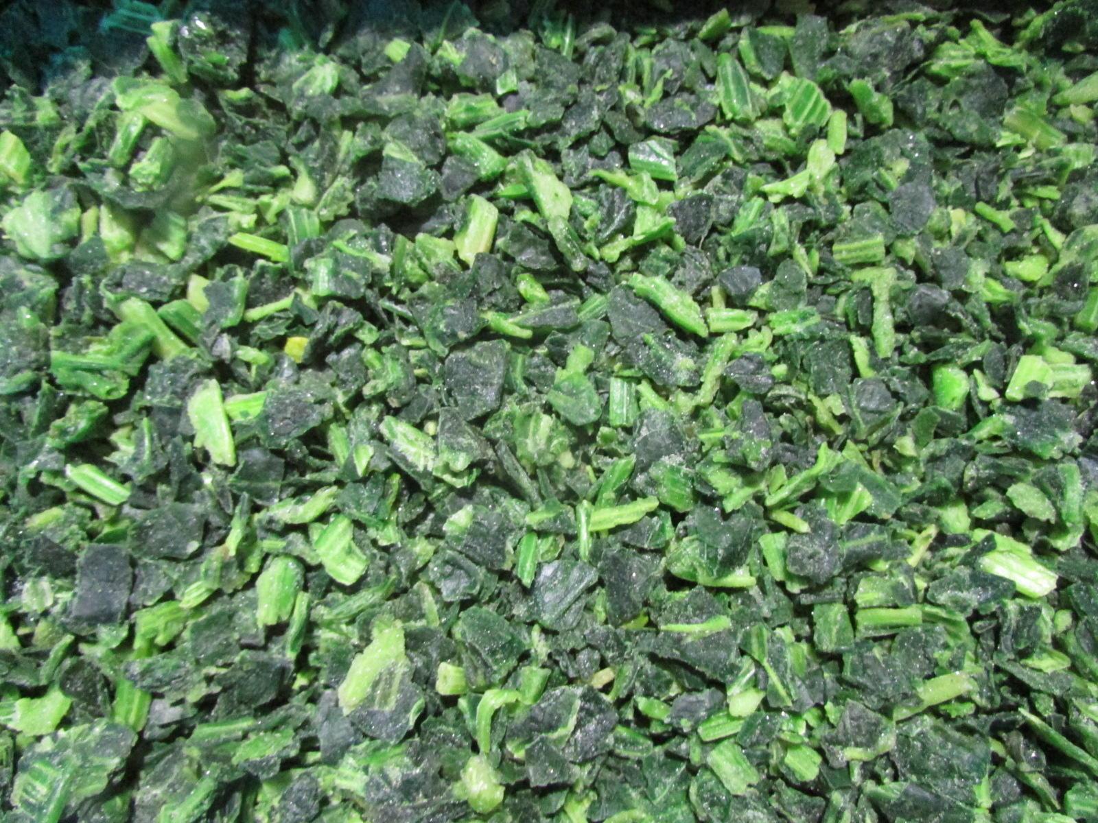 Frozen Chopped Spinach Tablets, IQF Chopped Spinach Tablets, IQF Chopped Spinach 9