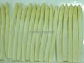 IQF White Asparagus Cuts & Tips,Frozen White Asparagus Tips & Cuts,IQF Asparagus 8