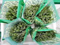 IQF Green Asparagus Whole,Frozen Green Asparagus Spear,IQF Frozen Asparagus 4