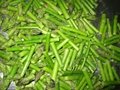 IQF green asparagus cuts & tips,Frozen green asparagus tips & cuts,blanched