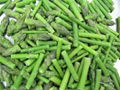 IQF green asparagus cuts & tips,Frozen green asparagus tips & cuts,blanched