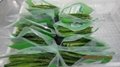 IQF Green Asparagus Wholes, Frozen Green Asparagus Spears
