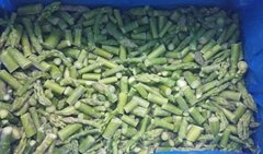 冷凍綠蘆筍尖段，速凍綠蘆筍尖段
