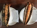 冷凍烤鰻,蒲燒烤鰻 5